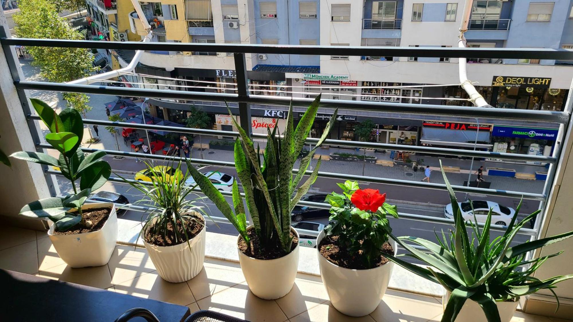 Marinela Apartment 地拉那 外观 照片